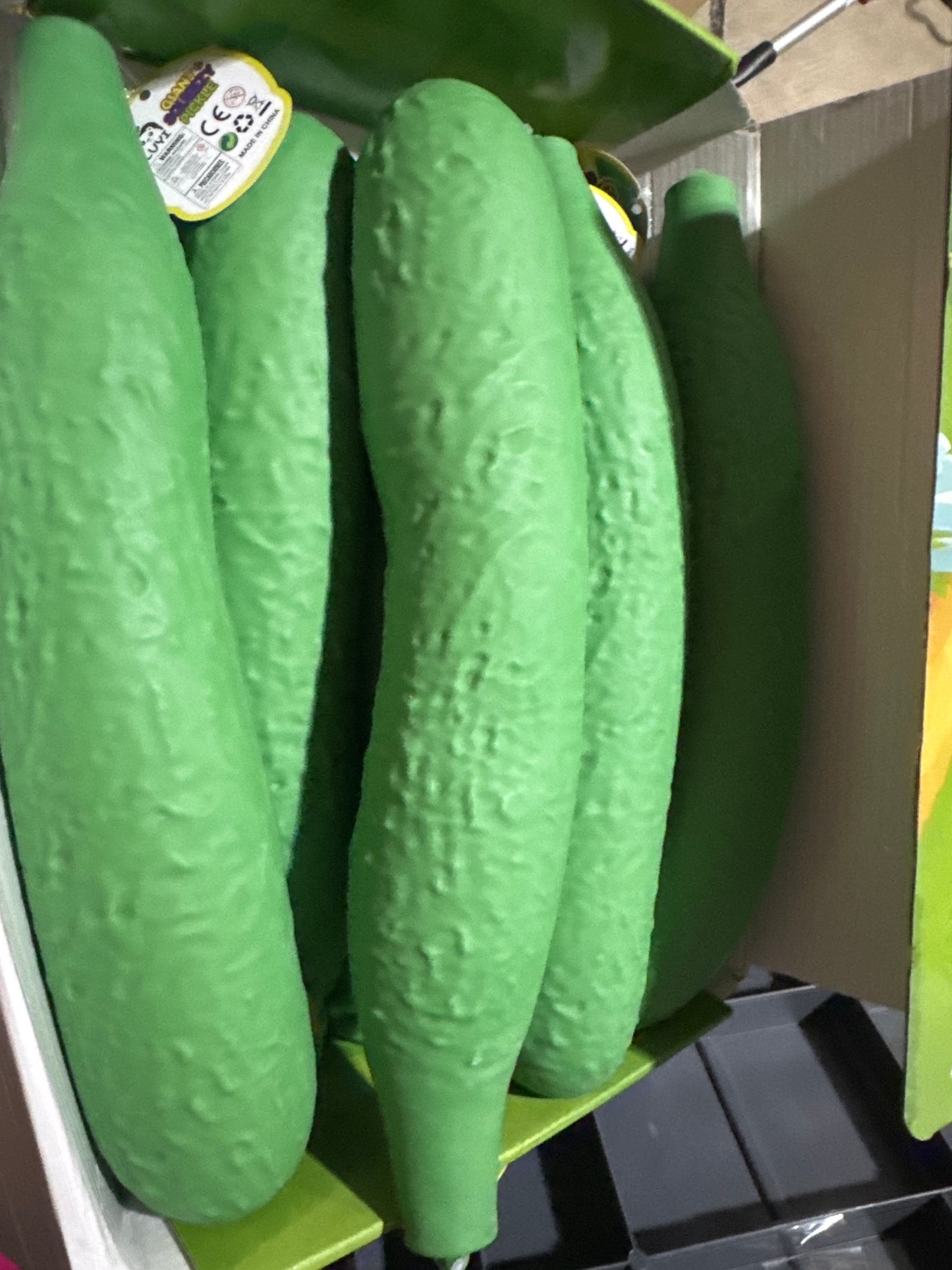 Jumbo cucumber