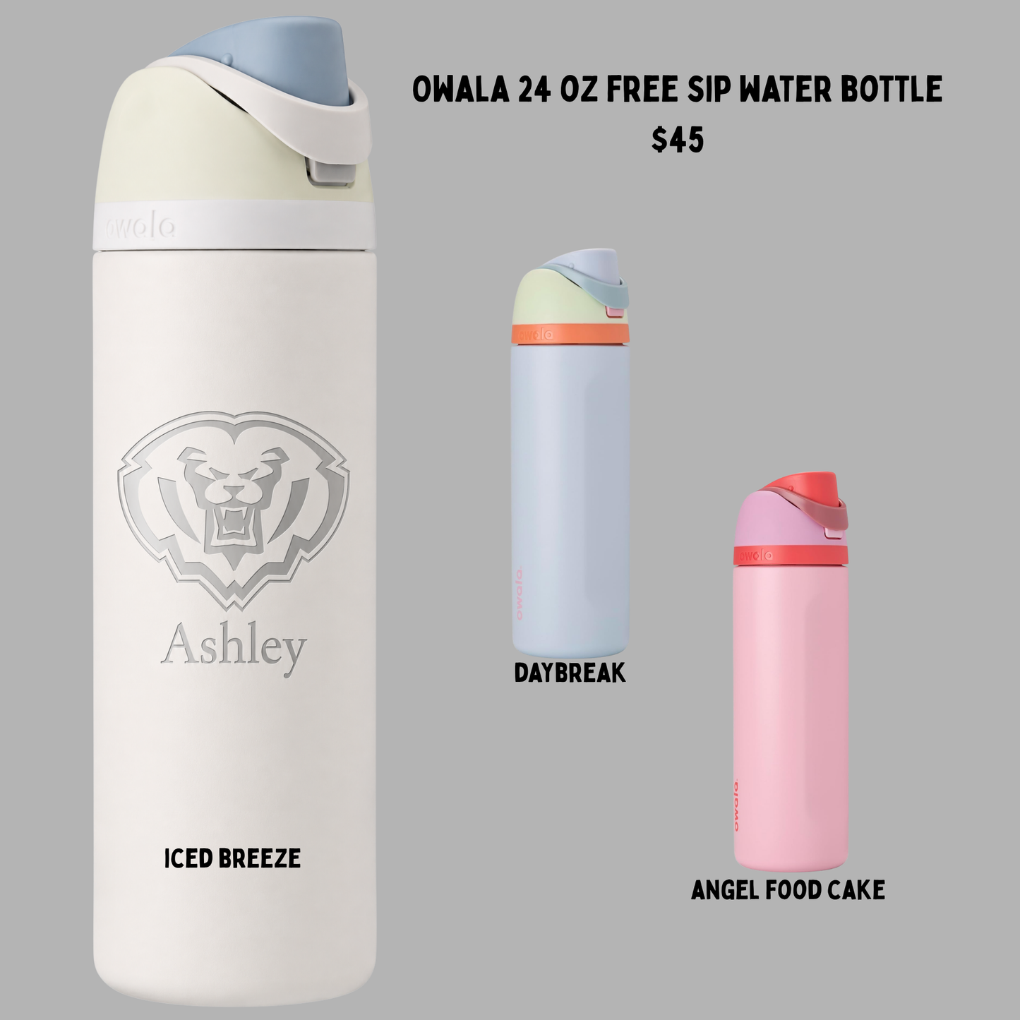 Owala Waterbottle HSECHEER