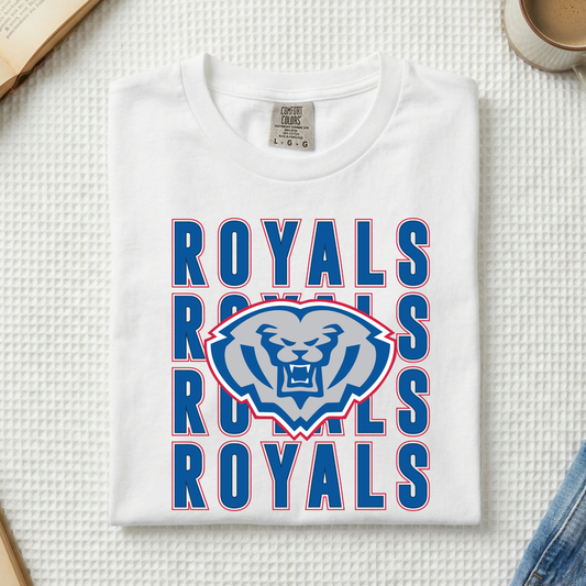 HSE Varsity Royal Stack